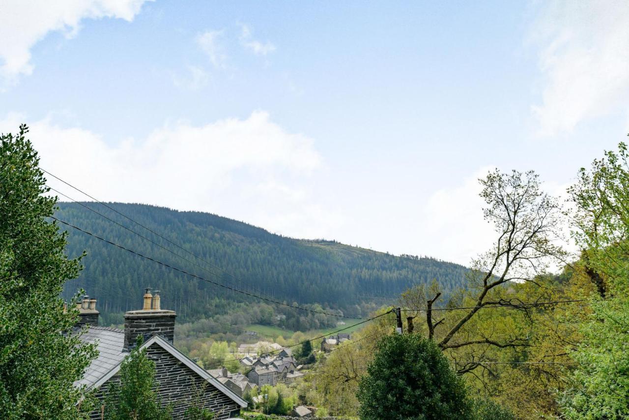 Apartament 2 Isygraig Corris Zewnętrze zdjęcie